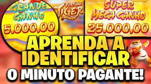 big win login baixar imagem de tela 1